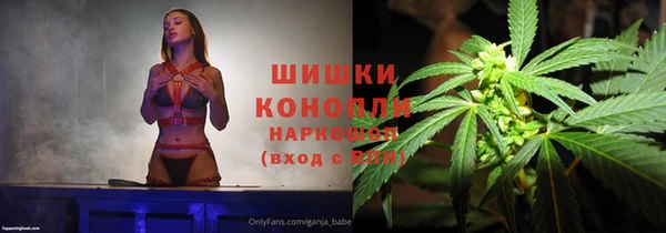 дмт Дмитриев