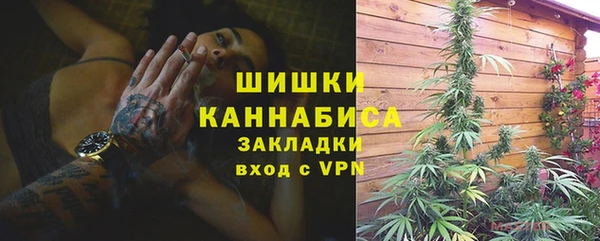 дмт Дмитриев