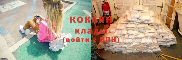 дмт Дмитриев