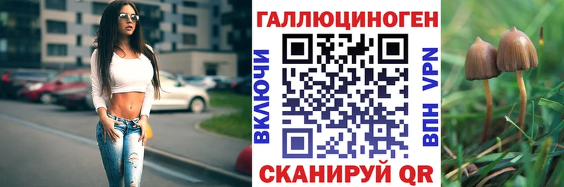где купить наркоту  Дмитровск  OMG маркетплейс  Псилоцибиновые грибы прущие грибы 