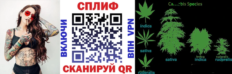Марихуана гибрид  Дмитровск 
